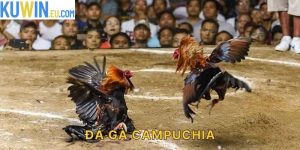 Đá Gà Campuchia